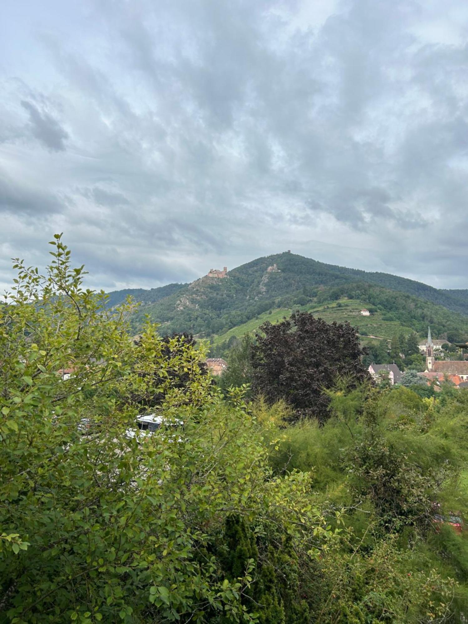 Vue Magnifique Sur Les Chateaux รีโบวิลเล ภายนอก รูปภาพ
